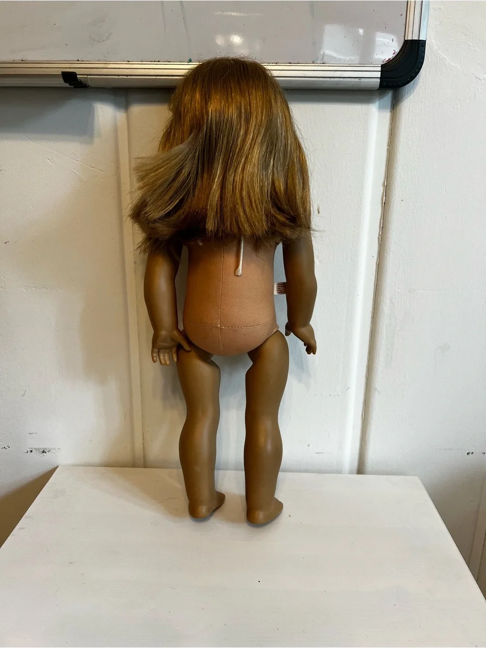 American Girl Doll (Custom Doll)
